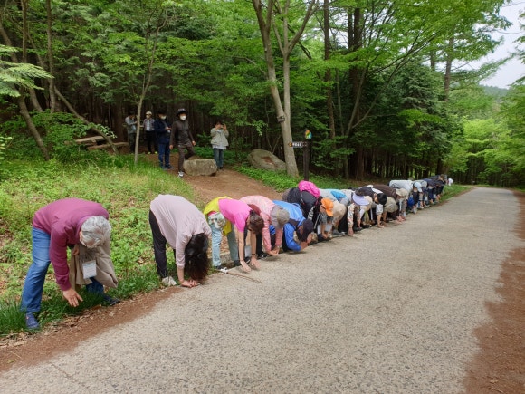 국립장성숲체원 이미지