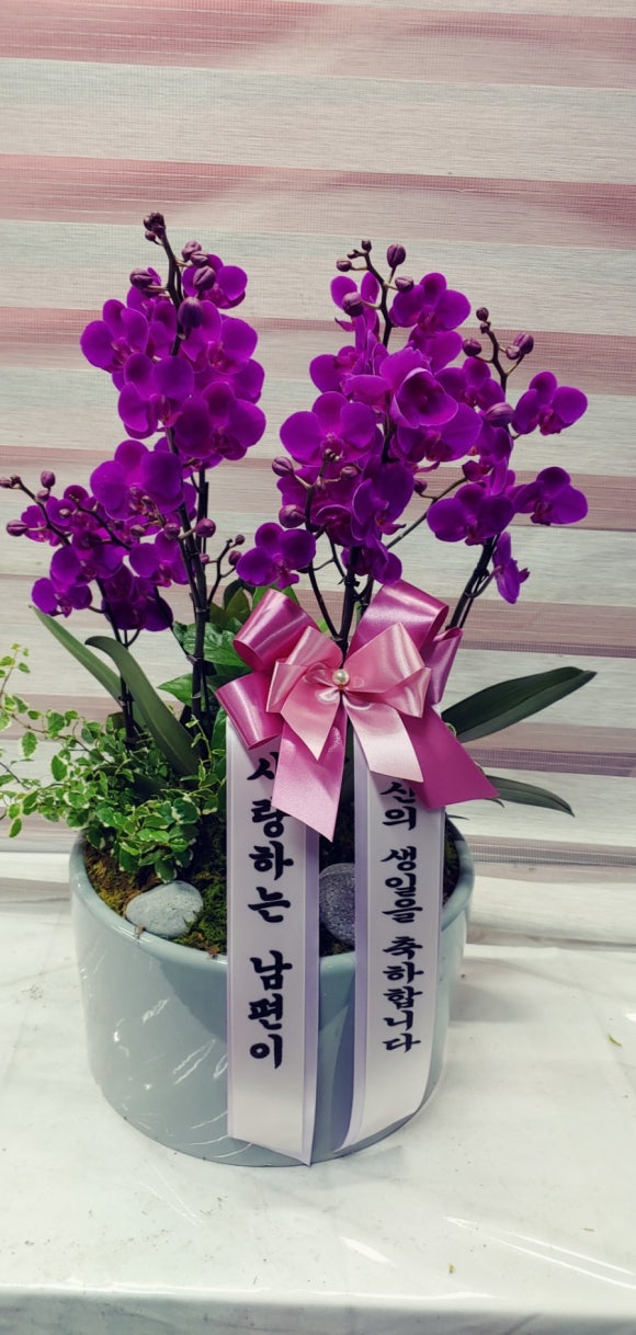 아름꽃집 이미지