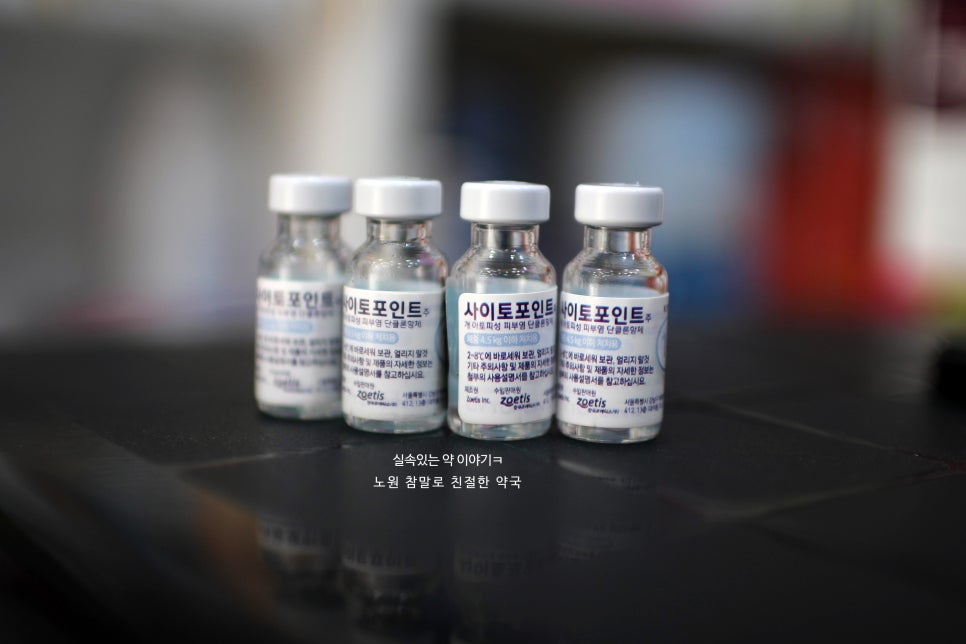 아토제제 이미지