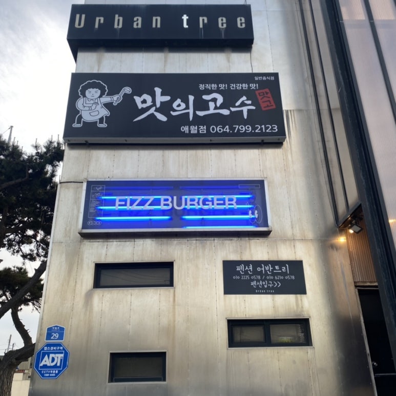 피즈(Fizz) 이미지