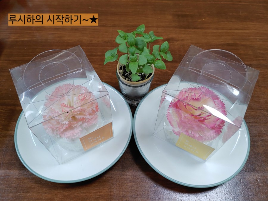 루덴스랩 이미지
