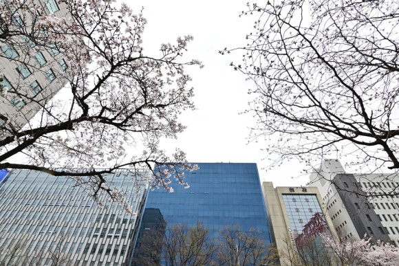 선경회계법인 이미지