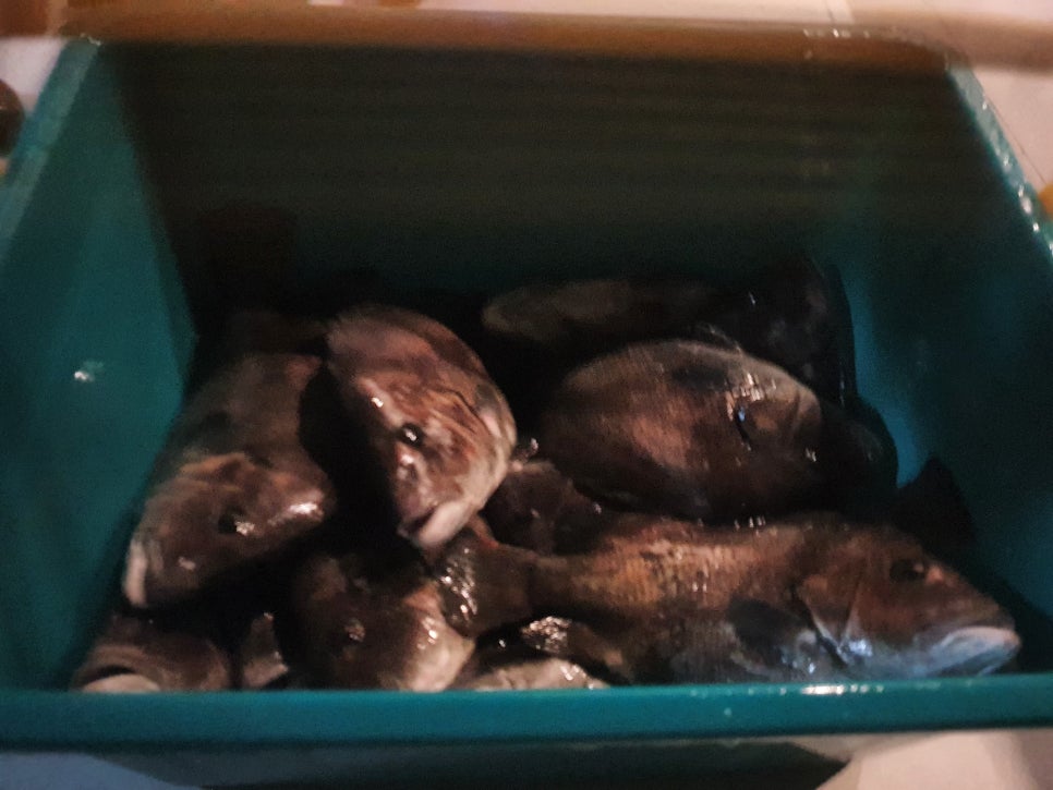 빅히트바다낚시터 이미지