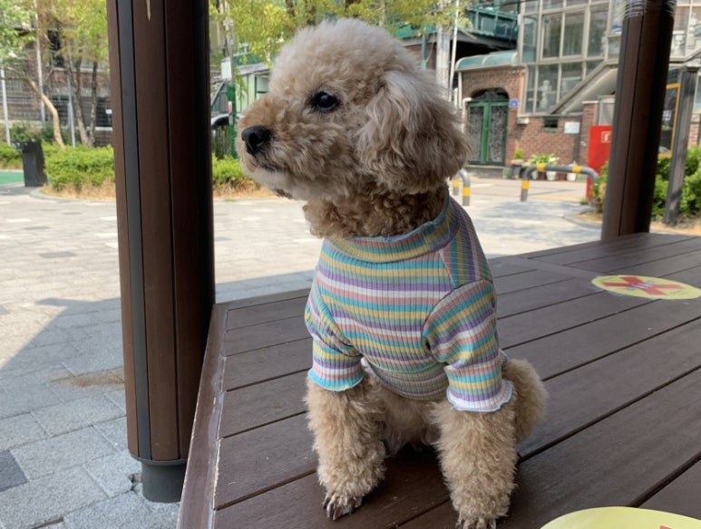 호치민칼디커피 이미지