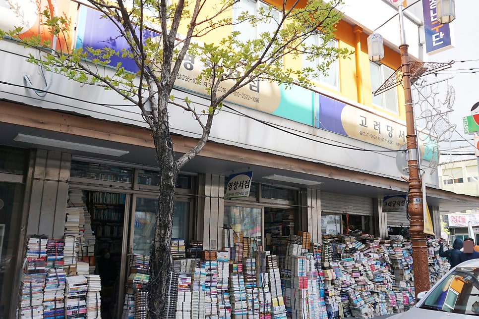 영창서점 이미지