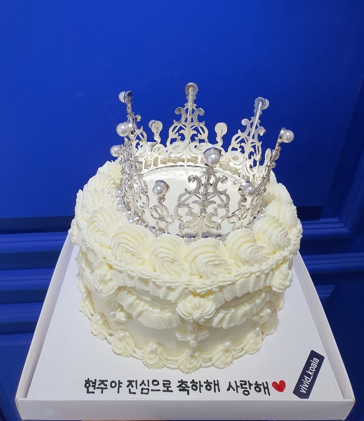 비비드코알라 이미지