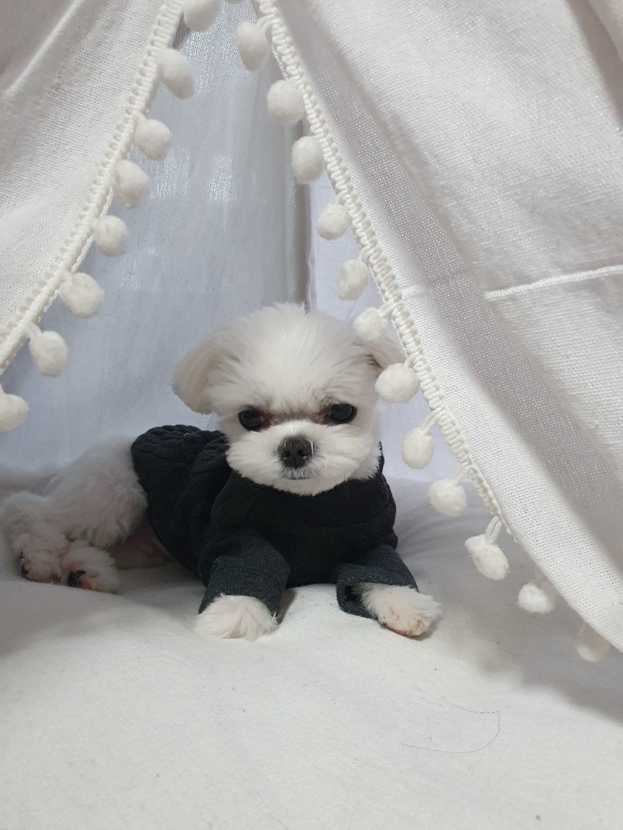 복음간병인협회 이미지