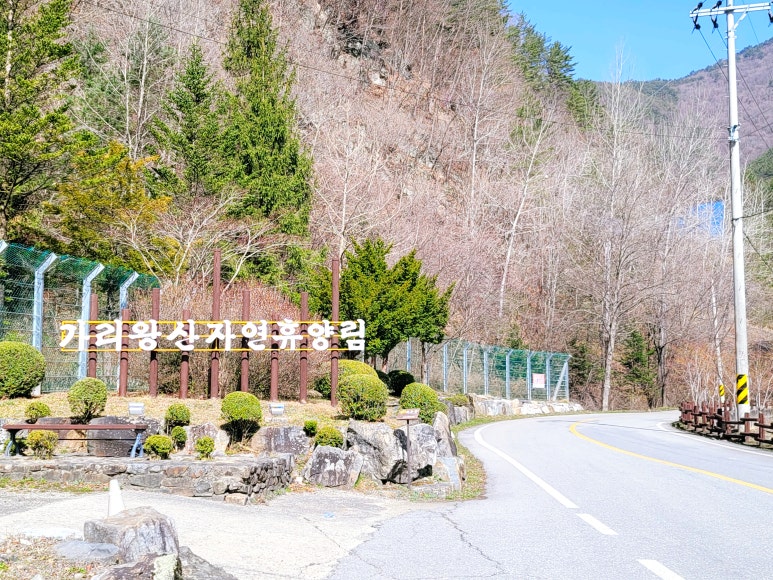 가리왕산자연휴양림 이미지