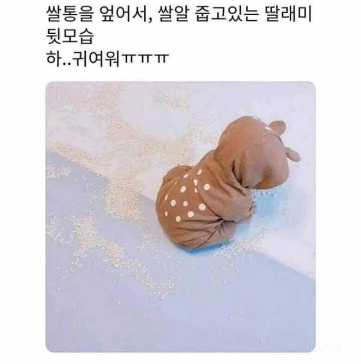 큐유 이미지