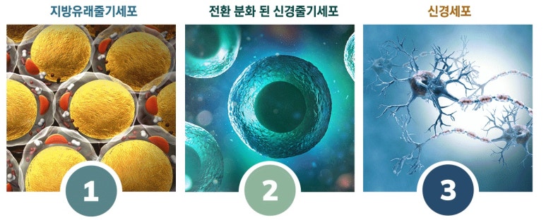 케이바이오 이미지