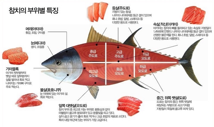 오도로초밥&참치 이미지