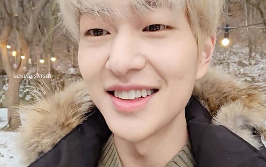 나무사이에자연속으로 이미지