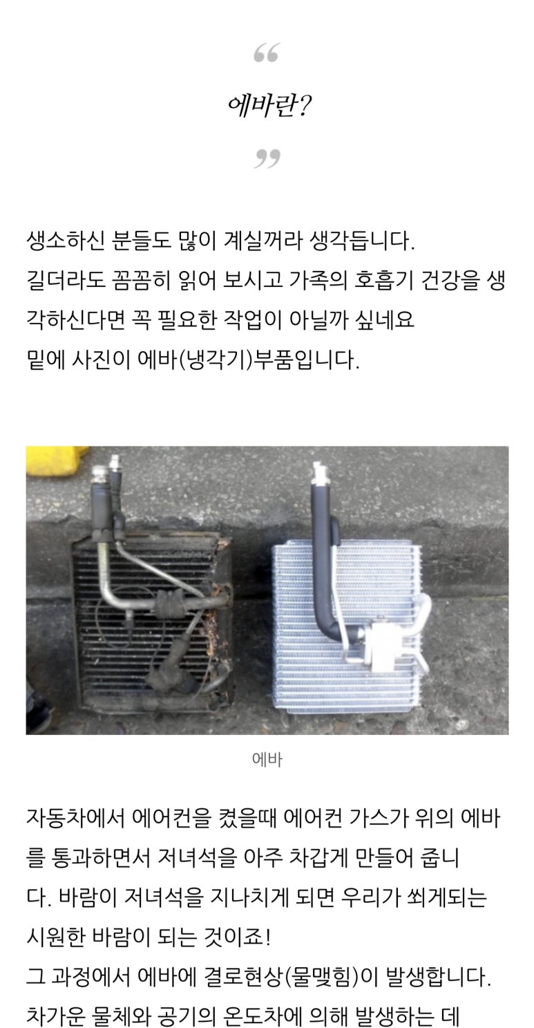 블루크리닝 이미지