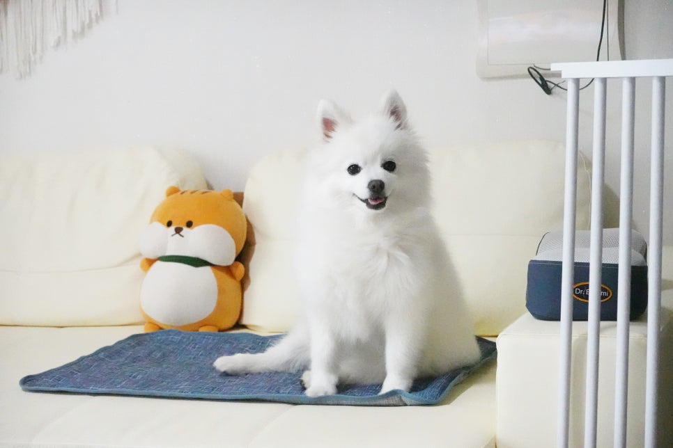 지인씨엔에스 이미지
