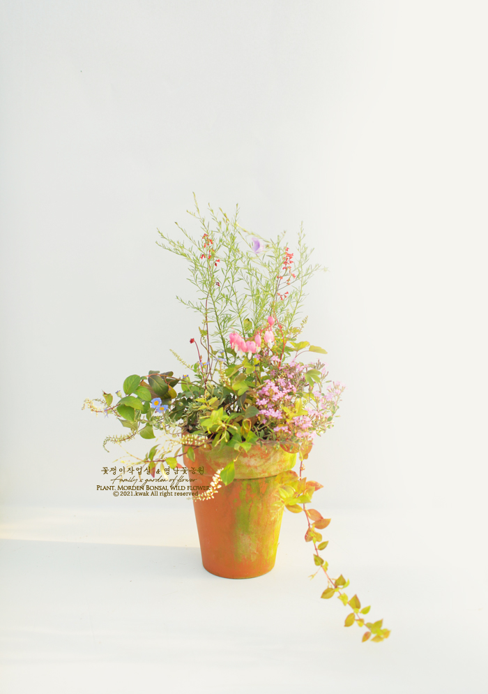 영남화분 이미지