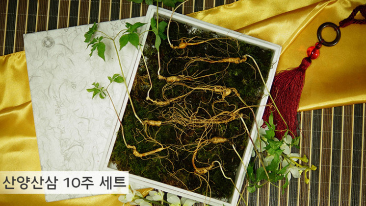 산삼하우스 이미지