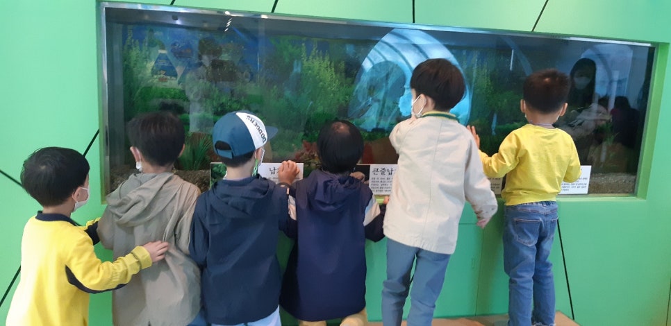 백암어린이집 이미지