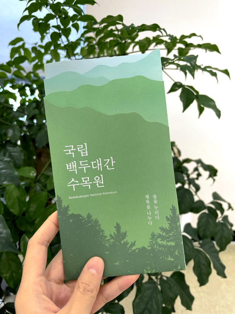 디자인6380 이미지