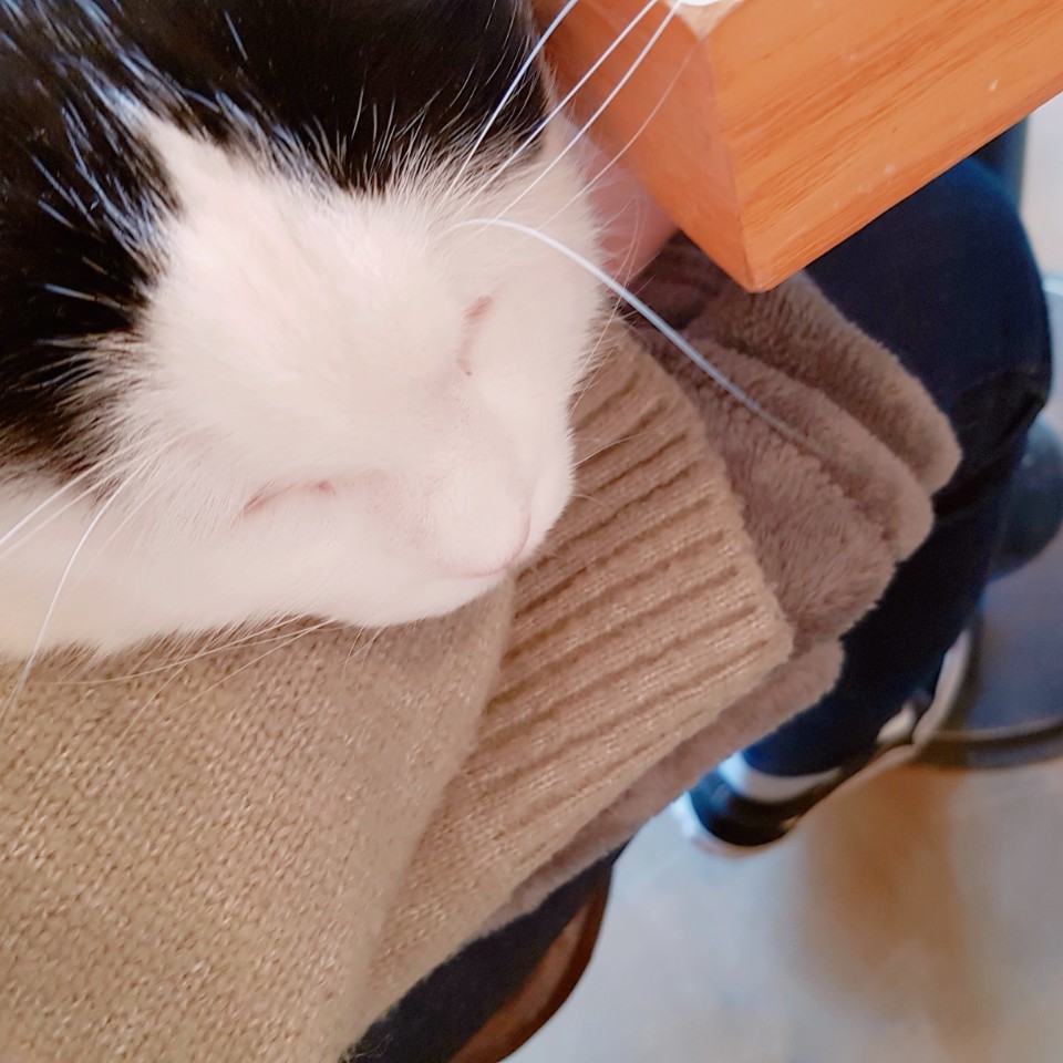 세무회계내일처럼 이미지