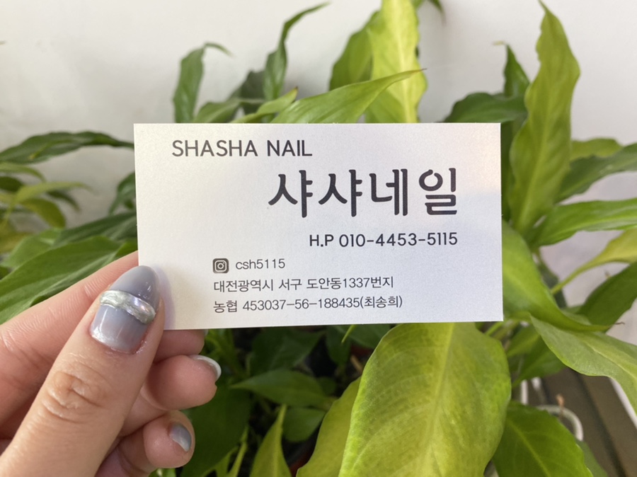샤샤네일 이미지