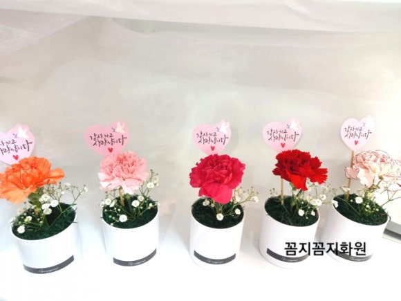 꼼지꼼지화원 이미지