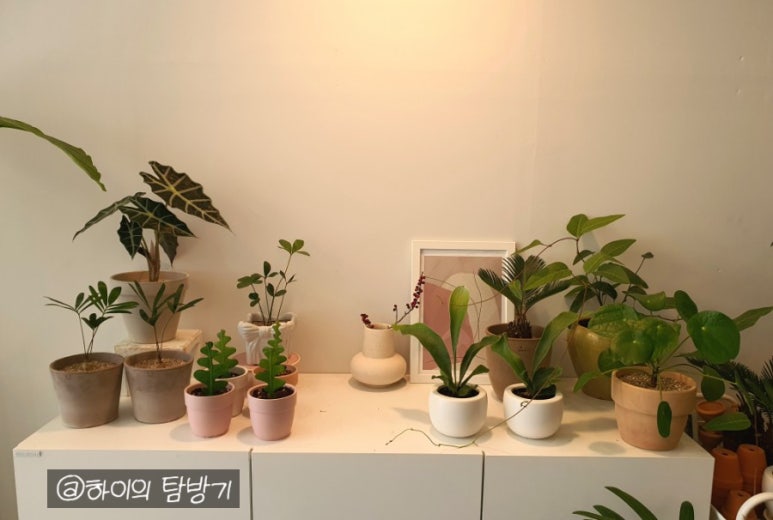 종로엠서적 이미지