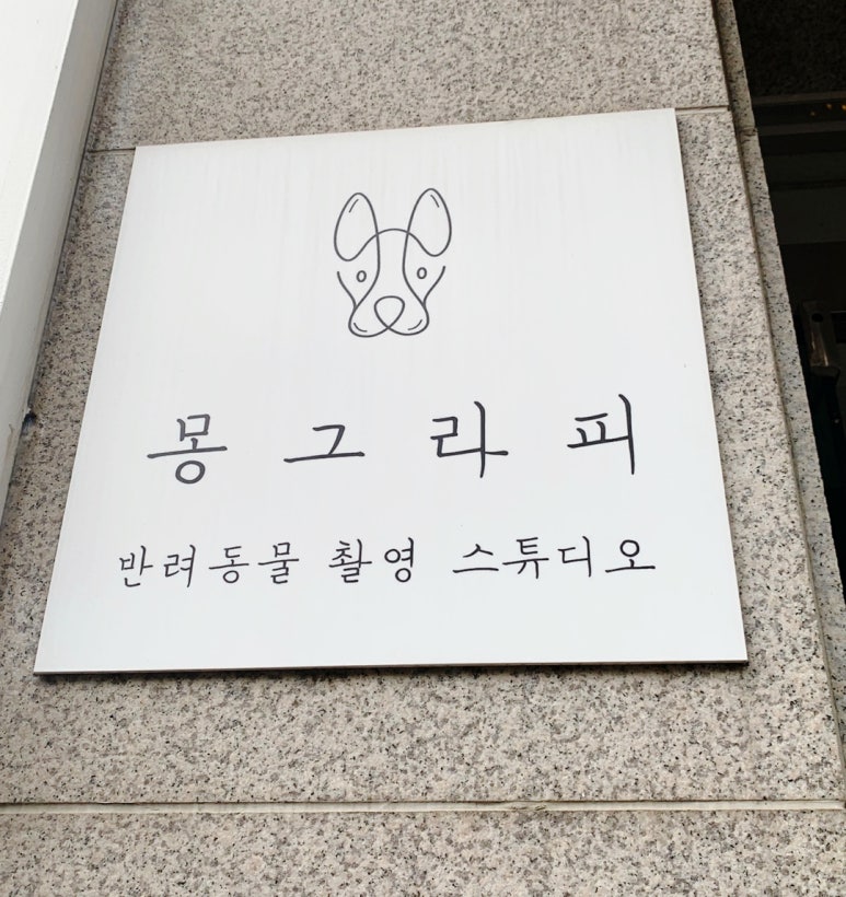 몽그라피 이미지