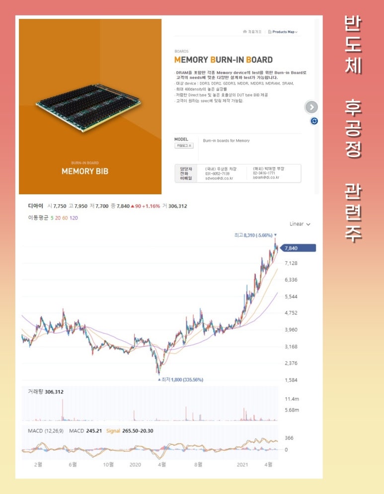 디아이브릿지 이미지