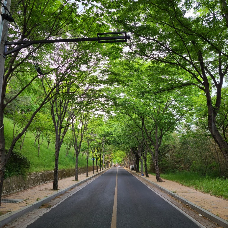 (주)알지힐링 이미지