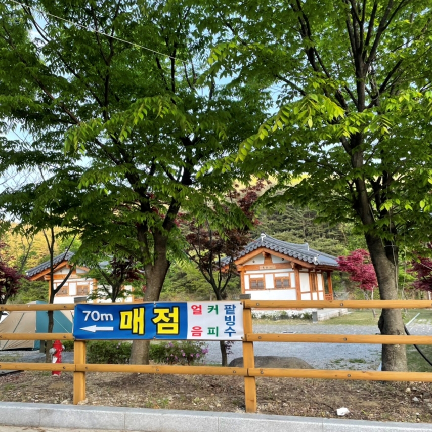 농월정오토캠핑장 이미지