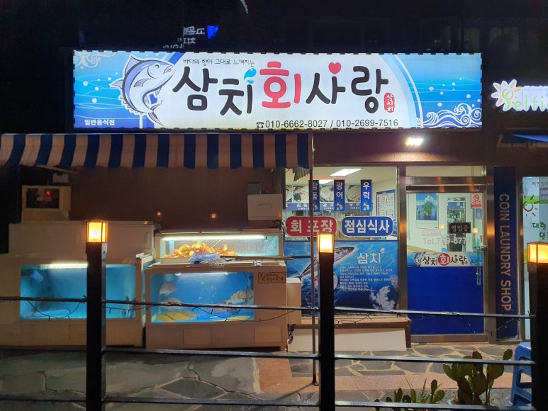 삼치회사랑 이미지