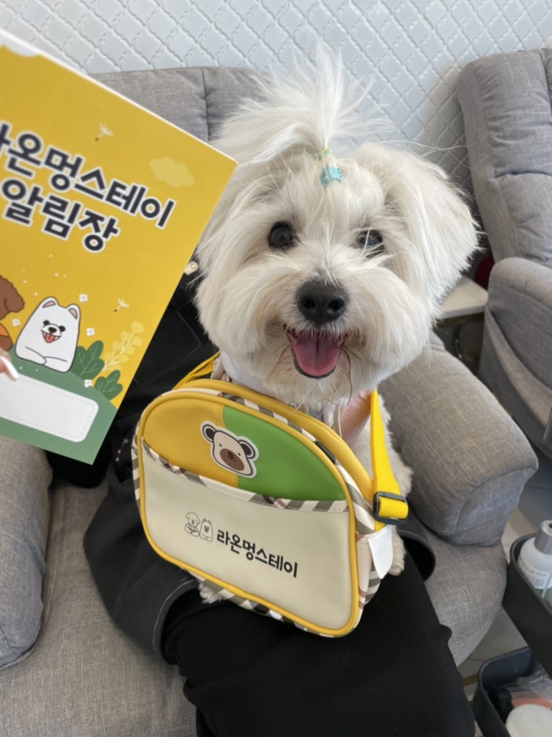 가비네일 이미지