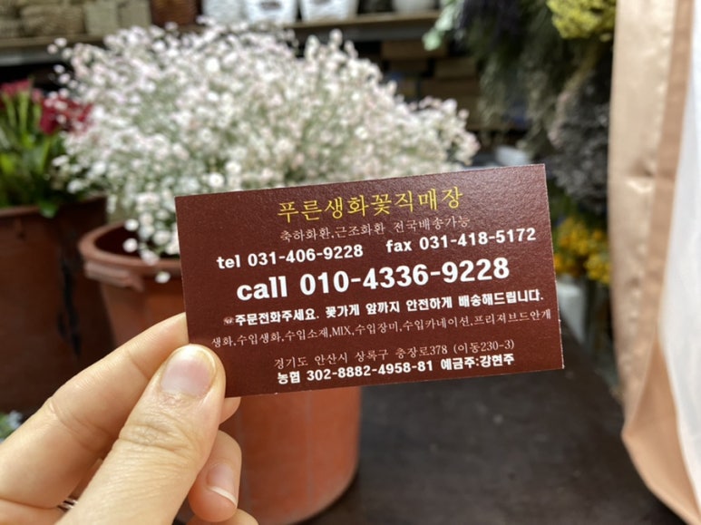 푸른생화 이미지