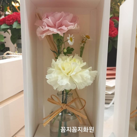 꼼지꼼지화원 이미지