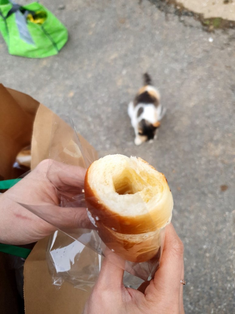 둥글동글베이커리 이미지