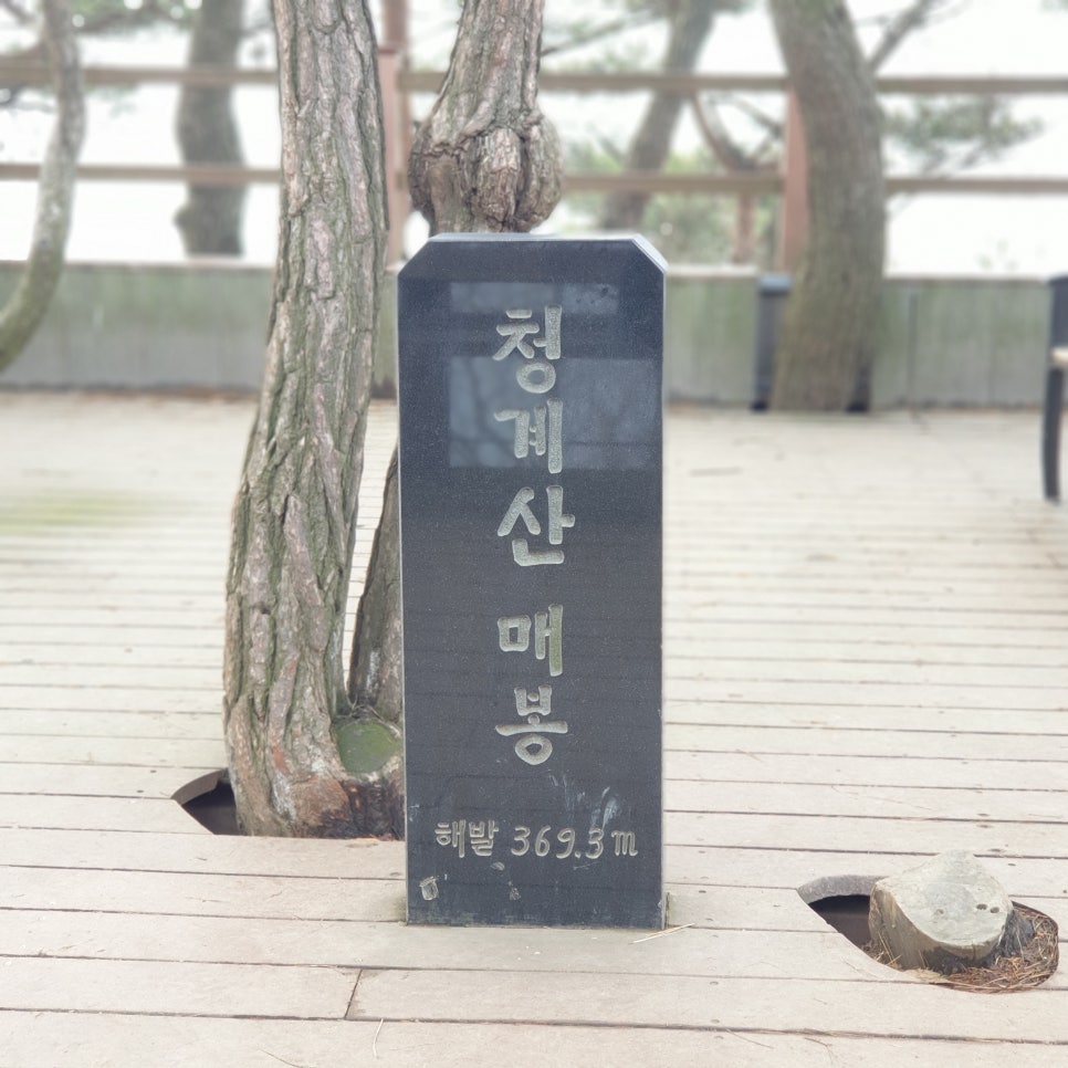 대공원국수 이미지
