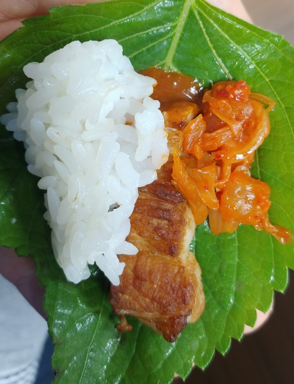 쾌삼 이미지