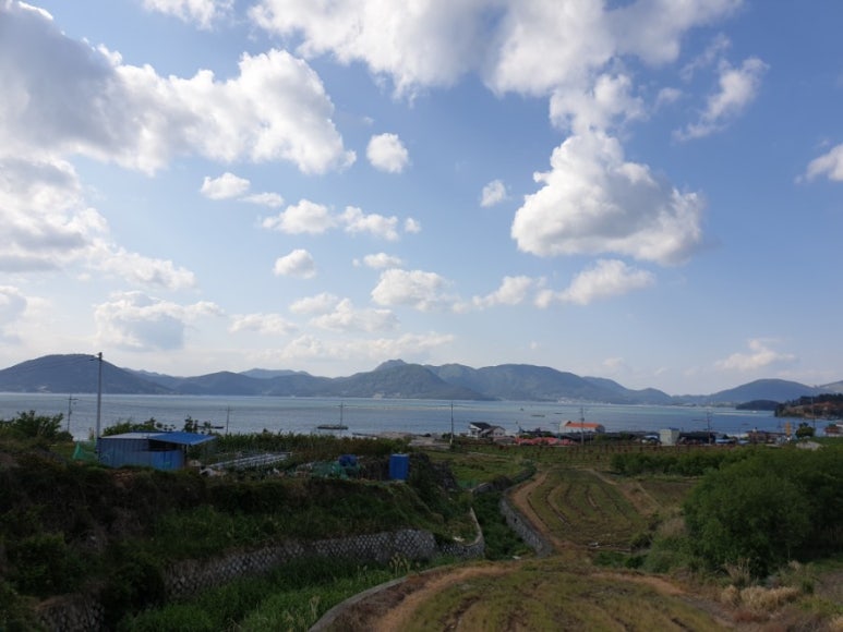 오송리홍차가게 이미지