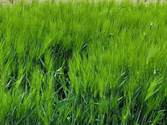 경산환경 이미지