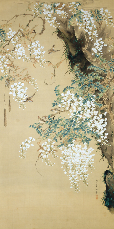 도헤 dorer 이미지