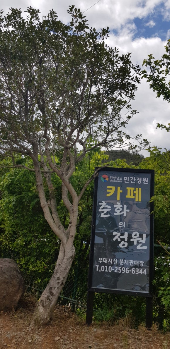 카페춘화의정원 이미지