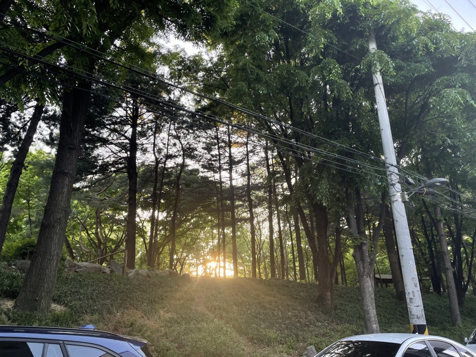 플디앤코 이미지