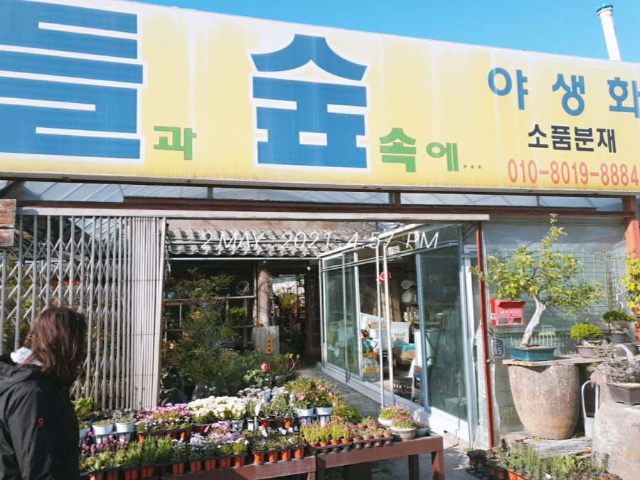 들과숲속에 이미지