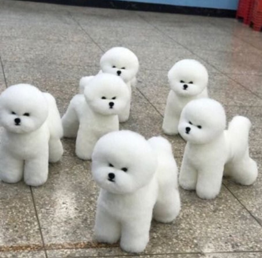 야심잔기지떡 이미지