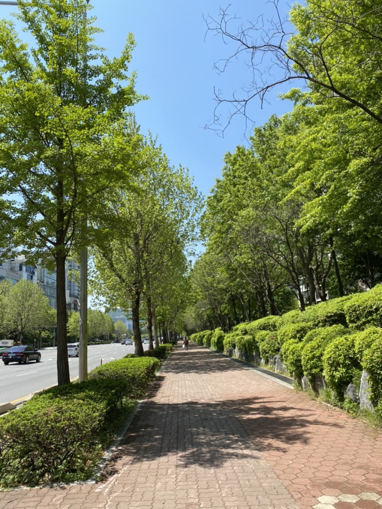 펭귄상회 이미지