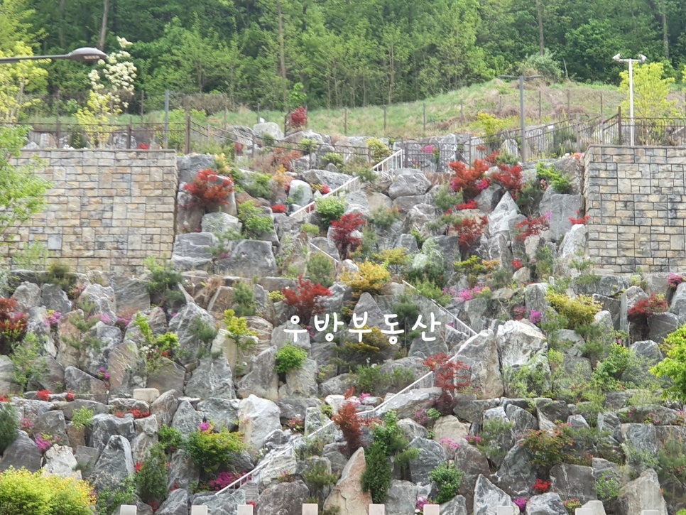 우방사랑꿈어린이집 이미지