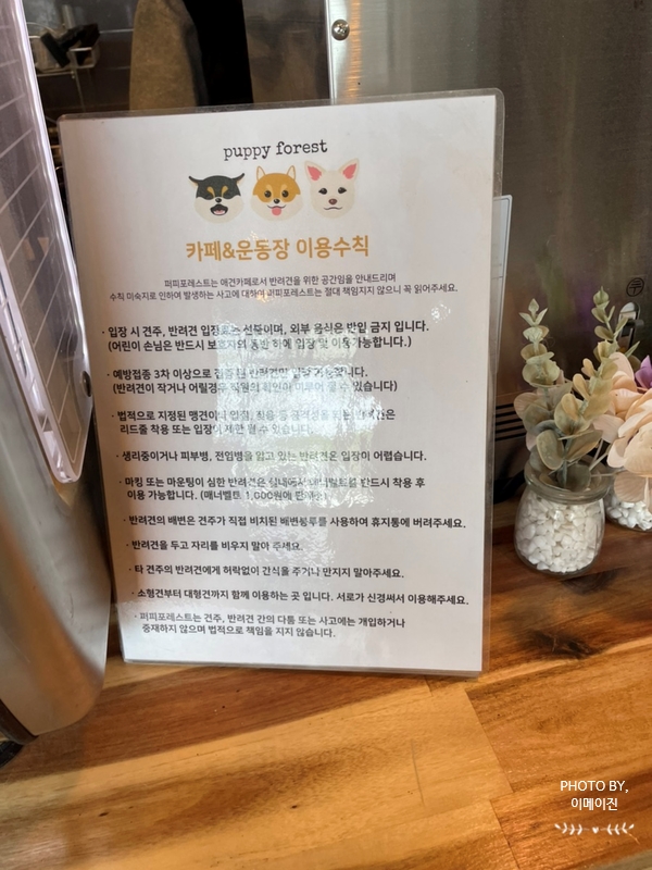 퍼피포레스트 이미지
