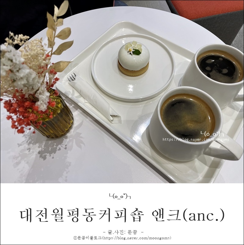 앤크(anc) 이미지