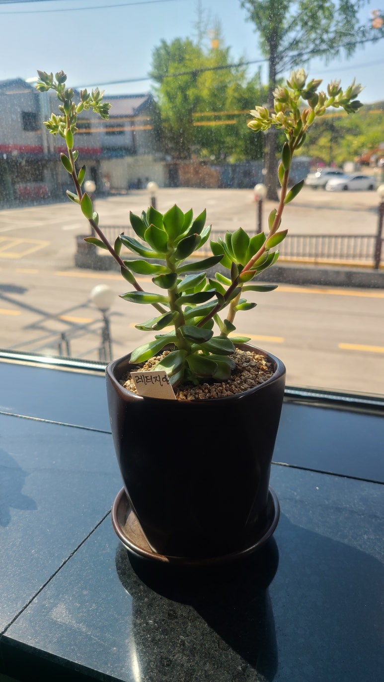 우리들자산 이미지