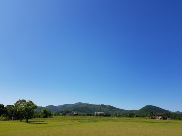 고인돌식물원 이미지